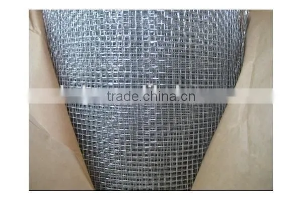 New Product Galvanized Welded Wire Mesh/ Welded Wire Mesh Fence for Sale photo-5