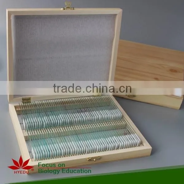 School Student Study Laboratory Botany Prepared Microslides Algae Individual Microscope Prepared Slide photo-5