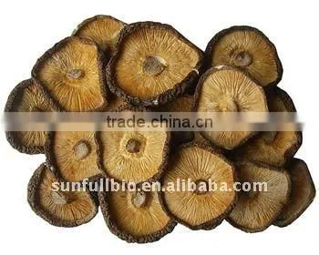 30% Polysaccharides UV-VIS Shiitakei Mushroom Powder