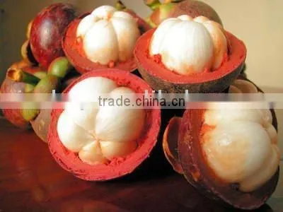 Mangosteen Extract Juice Powder-100% Water Soluble