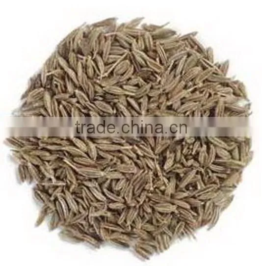 Cumin Seeds photo-2