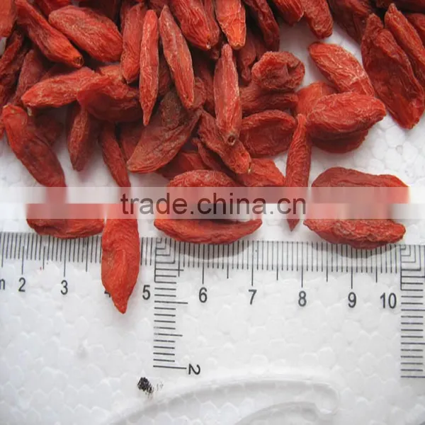 Goji Berries Organic/goji Organic Certificate photo-2
