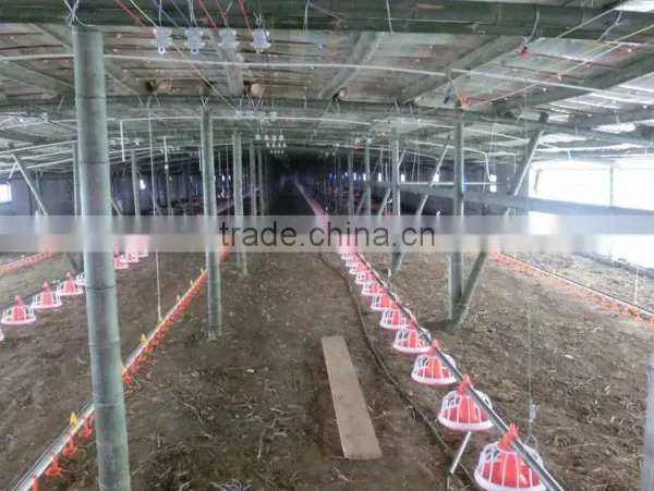 Hot Sale Chicken Farming Equipment/High Quality Automatic Pan Feeding System photo-3