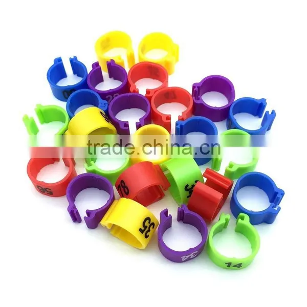 Pigeon Ring,band Pigeon Ring,pigeon Leg Ring