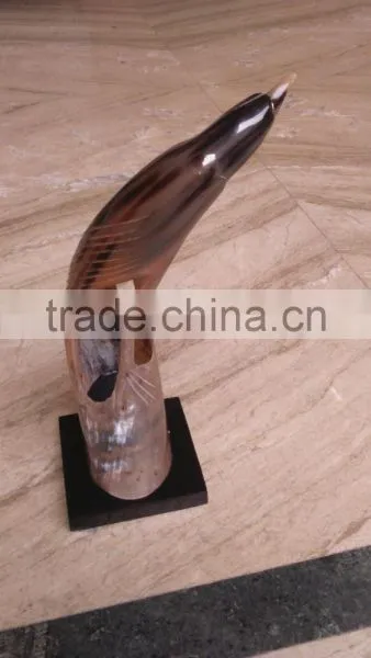 Horn Falcon photo-3