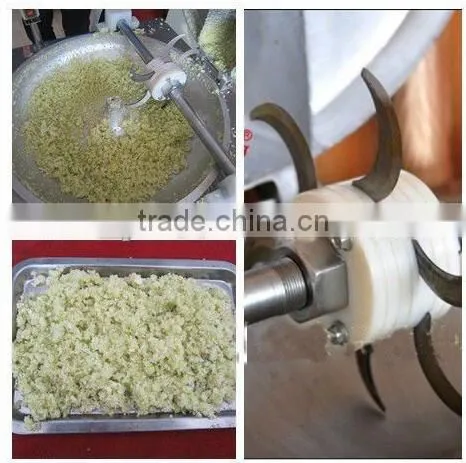 Cheap Price Stainless Steel Automatic Fruit and Vegetable Grinding Machine photo-4