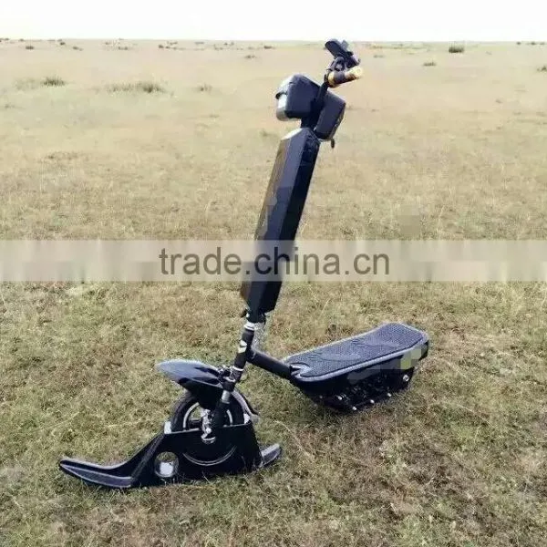 Electric Grass Skating Scooter /Electric Snow Scooter / Snowmobile
