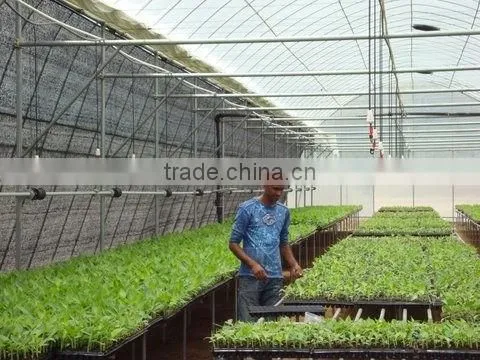 Nursery Systems photo-4
