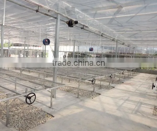 Polycarbonate Sheet Cover Agricultural Greenhouse PC Sheet Covered Greenhouse photo-6