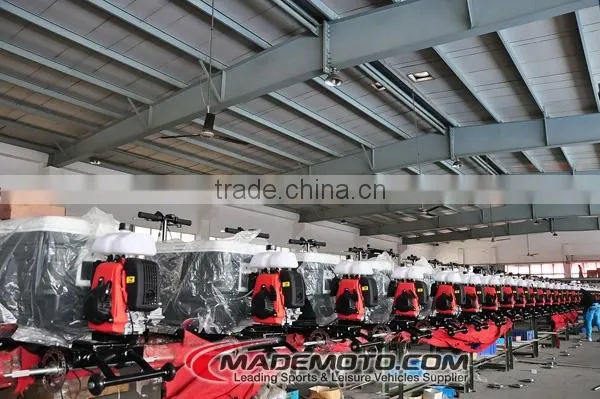 GS4301 Petrol Motor Scooter With High Quality on Sale photo-2