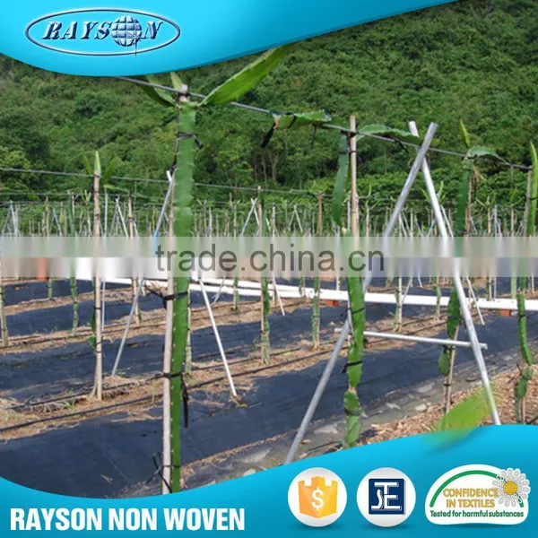 Technology 2016 Agriculture Nonwoven Polypropylene Fabric Roll photo-3