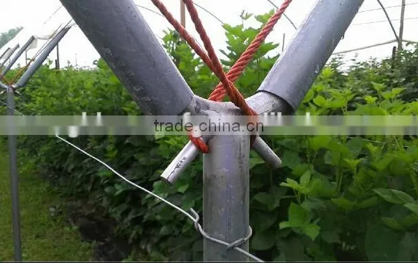 Greenhouse Twine for Greenhouse photo-2