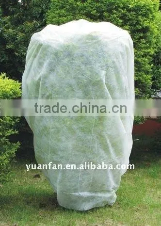 TNT Non Woven Fabric , Agriculture Useing pp Non Woven Fabric photo-6