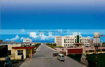Cationic Corn Starch for Paper Making photo-2