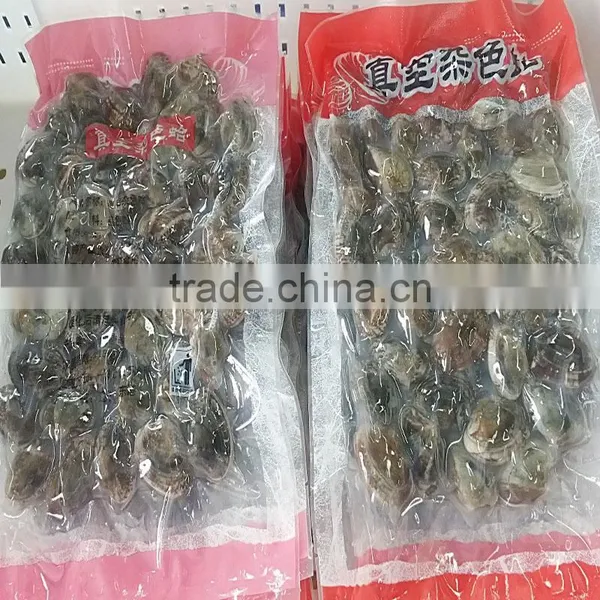 Frozen Cooked Short Necked Clam With Favorable Price photo-3