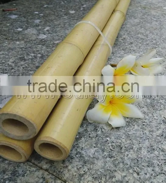 Thick Wall and Strong Tonkin Bamboo Canes for Supporting Plants at Cheap Price photo-5