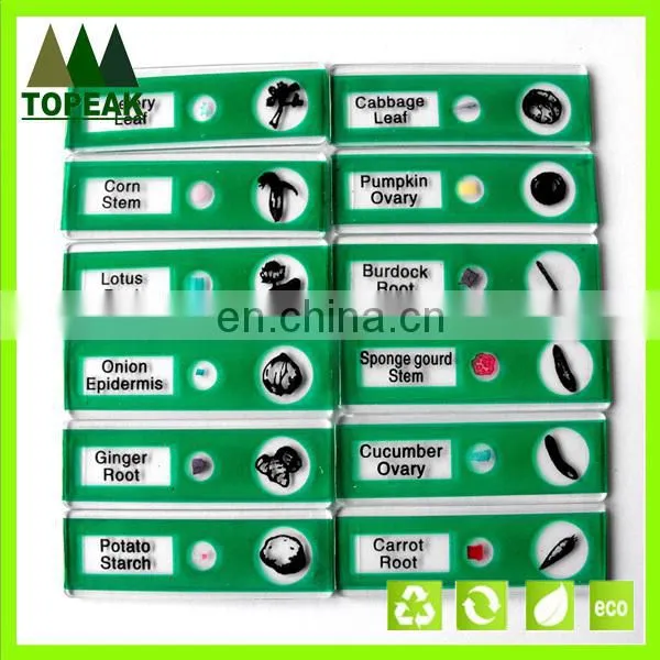 Vegetable Type Plant Serial Plastic Microscope Prepared Slides photo-2