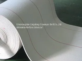 Corrugator Belt