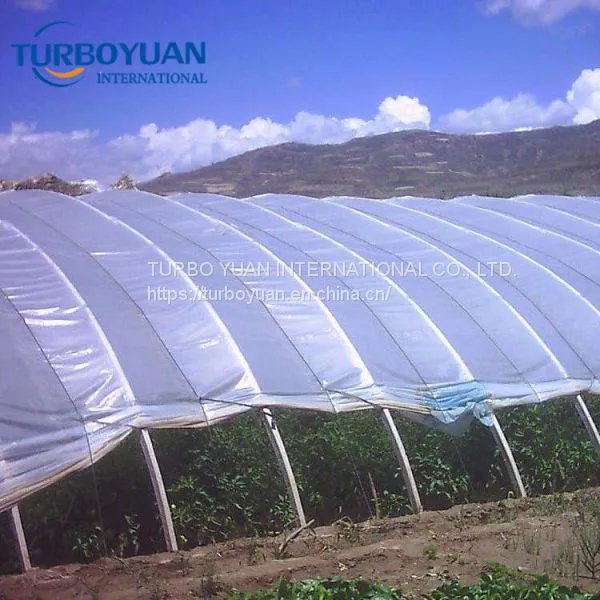 White Transparent Greenhouse Covering Materials / Plastic Film for Greenhouse photo-5