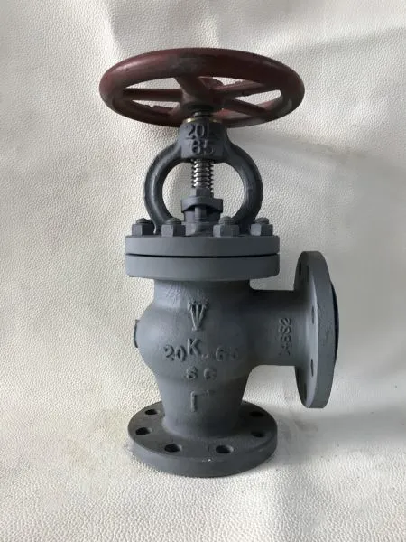 JIS Marine Valve Cast Steel Angle Check Valve F7474 20K