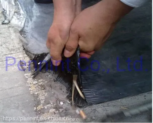 Self-adhesive Bitumen Waterproofing Membrane Roofing Sheet Asphalt Rolls Building Material photo-2