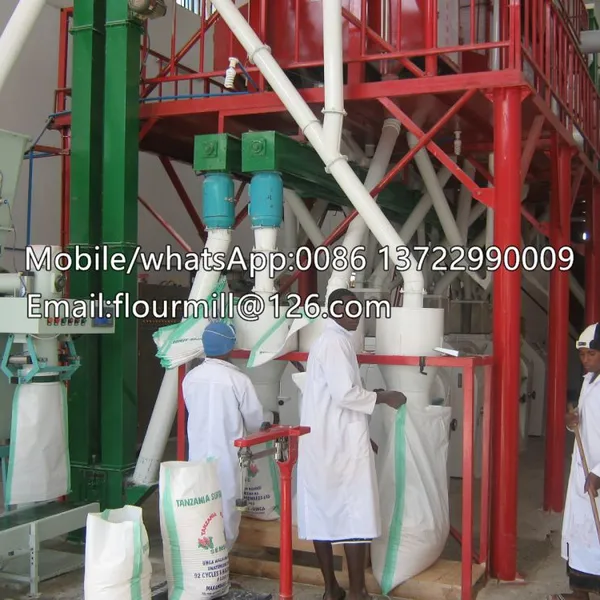 Industrial Maize Corn Flour Mill Plant Corn Grits Making Machine Semolina Processing Machine photo-2