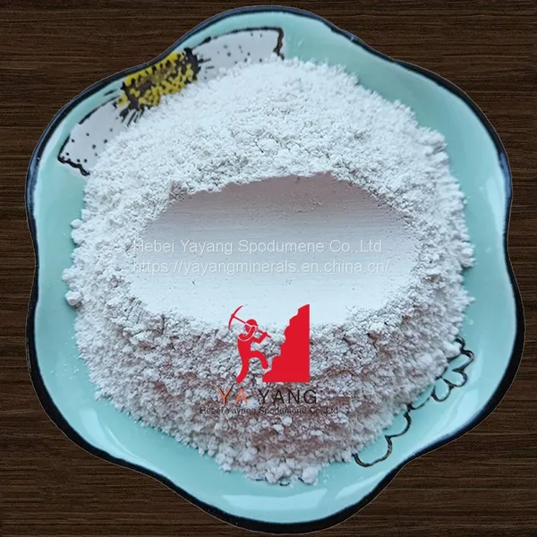 Calcium Carbonate - Heavy and Light Calcium Carbonate Powder Bulk Carbonate Manufacturer photo-5