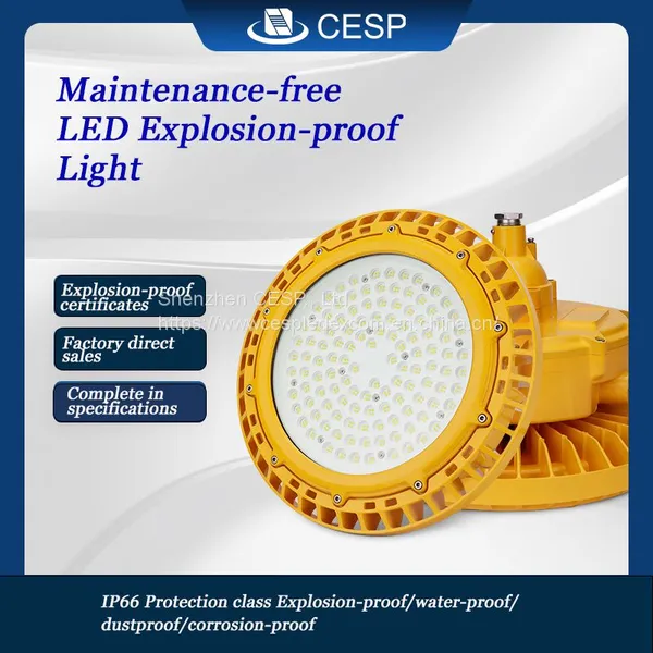30~300w ATEX IECEX Approved LED High Bay Lighting for Zone 1 Zone 21 (Economic)