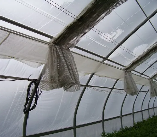 50% Aluminum Shade Net For Greenhouse Shading, Vegetable Garden Protection Silver Shade Mesh,UV Resistant Plastic Thermal Screen photo-4