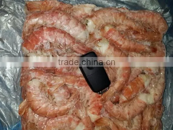 Frozen Argentine Red Shrimp - Whole or Tails photo-5