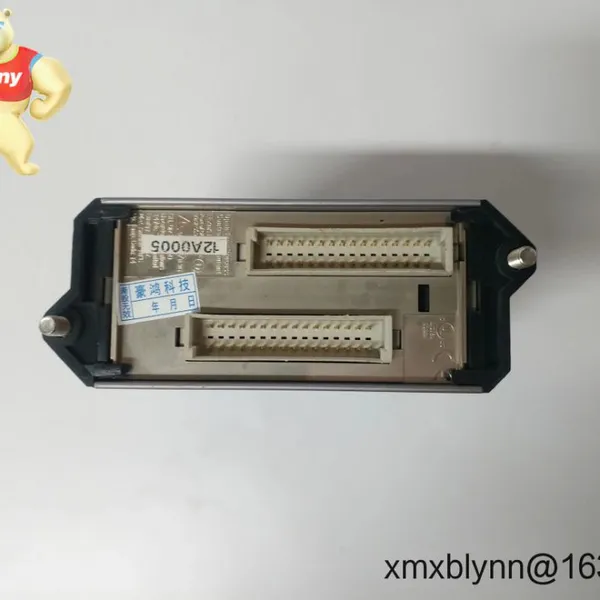 Foxboro FBMSVL Fieldbus Module – Reliable H1 Segment Interface for I/A Series / EcoStruxure Foxboro DCS photo-2