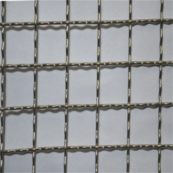 Manufacturer SUS 304 316 316L 100 200 400 Mesh Metal Woven Wire Mesh photo-4