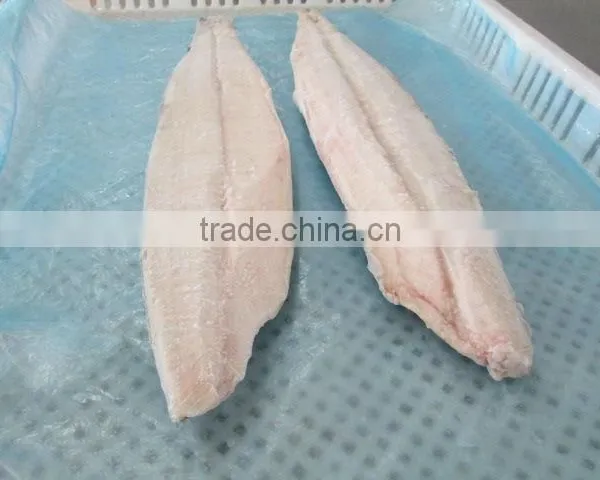 Spanish Mackerel New Filelts