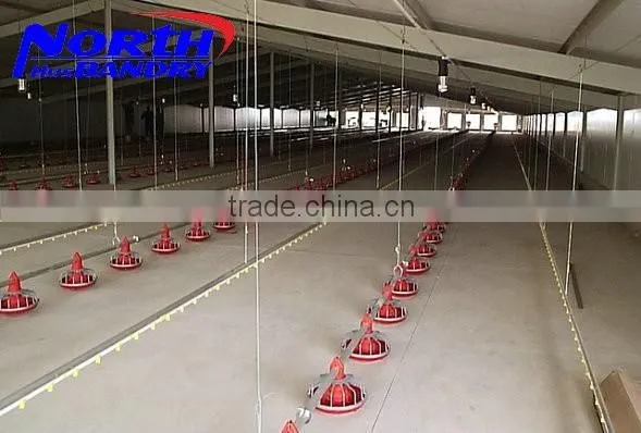 Prefabricated Low Cost Steel Poultry Shed for Chicken photo-4