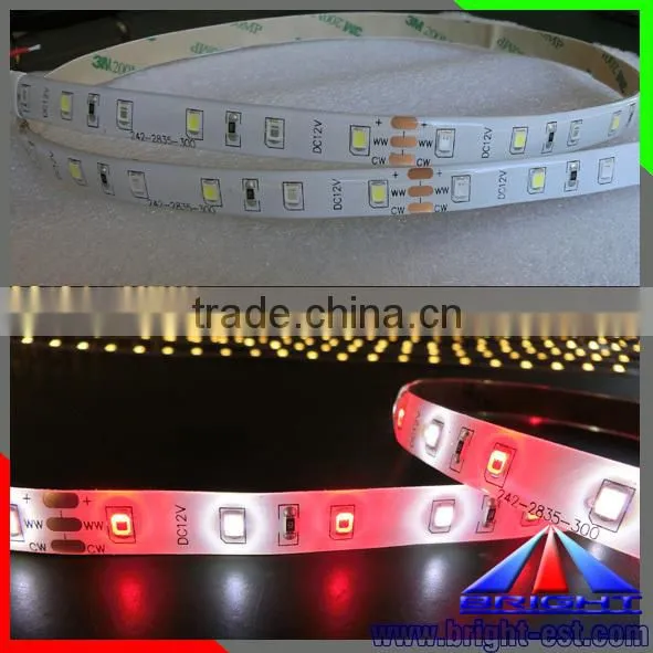 Double Color LED Strip 2835 Waterproof IP65 photo-3