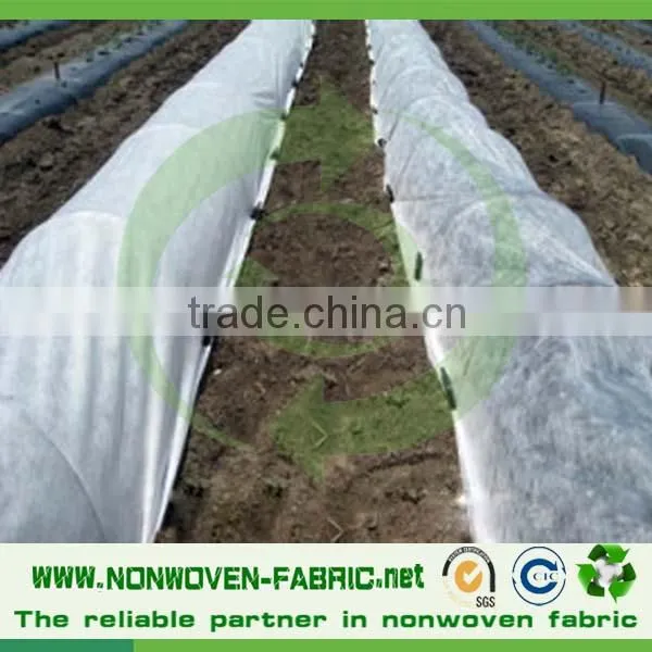 Polypropylene 100% Spunbond Non Woven Fabric for Frost Protection Garden Plant Cover photo-2