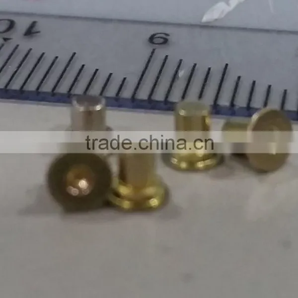 Micro Screw, Fastener, Metal Rivet Pin & Cold Forging Part photo-5