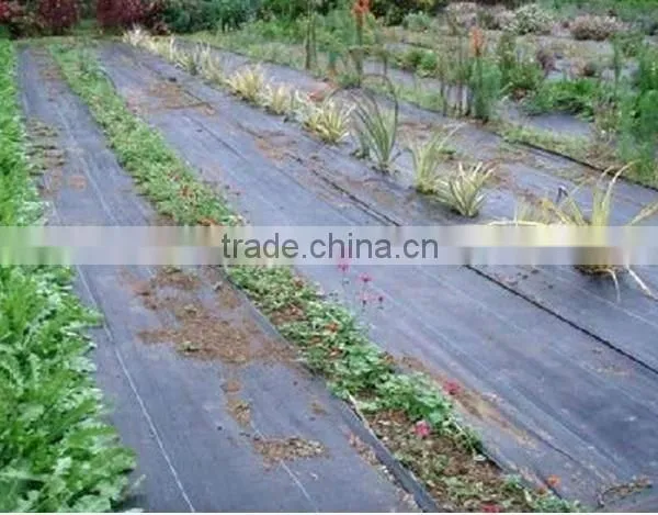 Newest Weed Barrier /weed Control Fabric photo-3