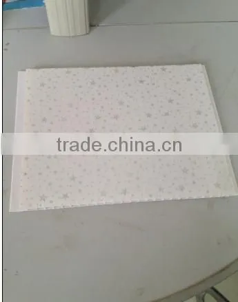 25cm Width Hot Stamping Hot Sale Style Pvc Panel