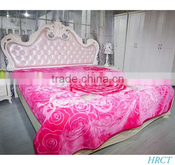 Hot Selling New Design 100 % Polyester Korean Style2Ply Mink Blanket