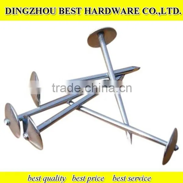 Galvanized Umbrella Head Twisted Roofing Nail photo-5