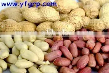 Peanut Price of Red Skin Peanut Kernel With Peanuts 1kg Price photo-4