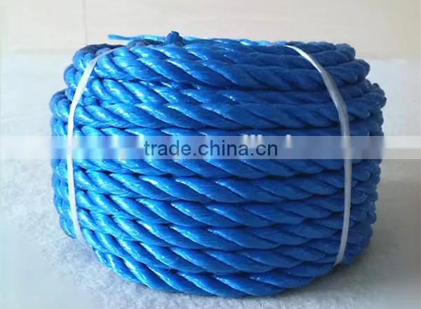 POLYPROPYLENE DANLINE ROPE FOR MARINE ROPE photo-4