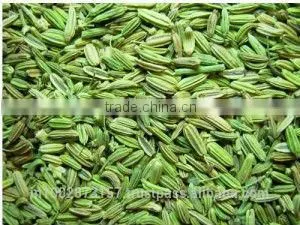 Fennel Seeds