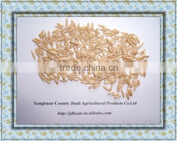 High Quality Chinese Hulled Oats, Naked Oats, Flat Oat Flakes, Rolled Oats Price photo-6