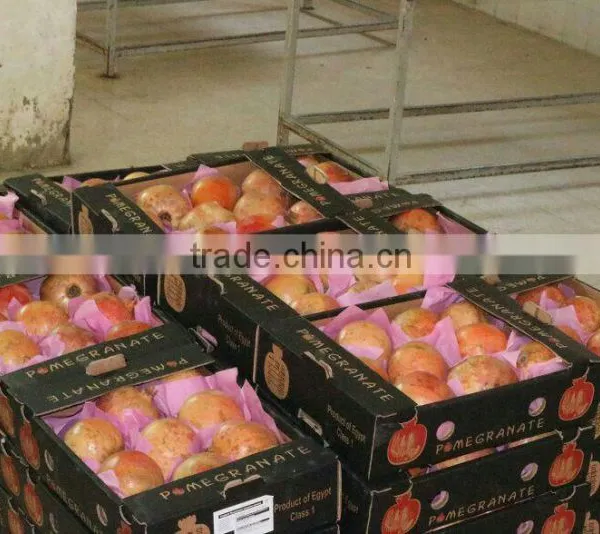 Fresh Pomegranate Crops 2015 photo-3