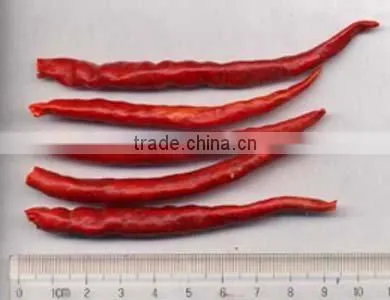 Chillies Yunnan