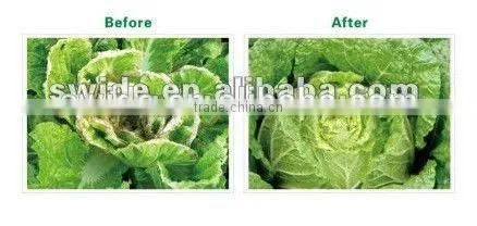 Seaweed Salt Powder Fertilizer photo-5