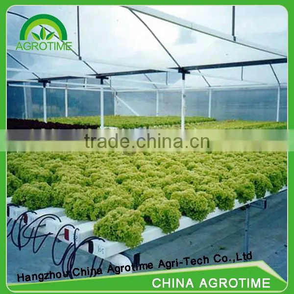 Greenhouse Hydroponic Growing System photo-2