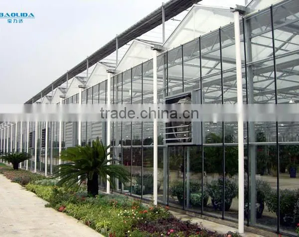 BaoLiDa Agriculture Used Greenhouse photo-6